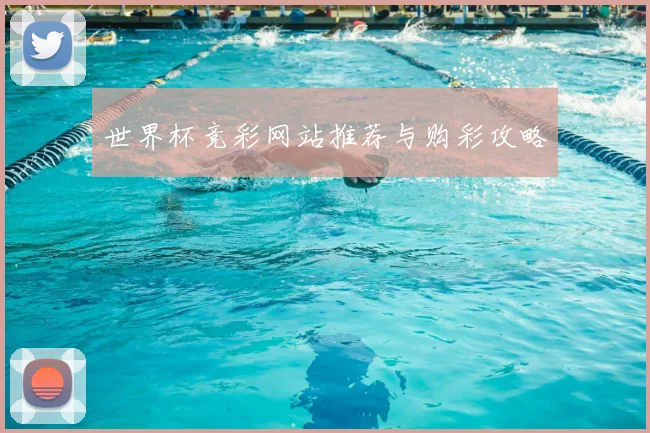 世界杯竞彩网站推荐与购彩攻略
